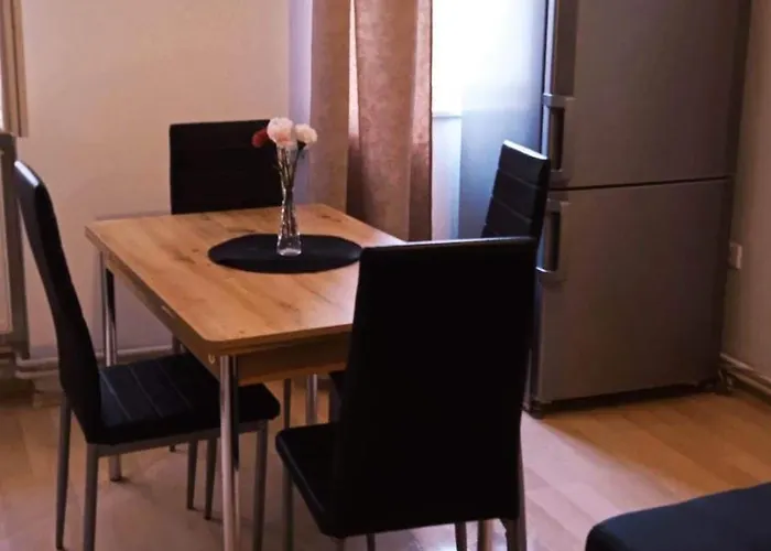 Apartament Museum Park Szell Str B- Downtown 1 Bedroom+living